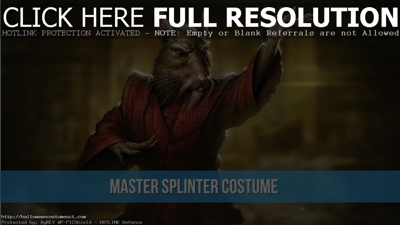 Master Splinter Costume